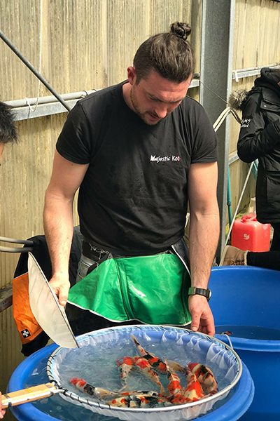 http://Mario%20Langeder%20sortiert%20Fische%20im%20Kescher